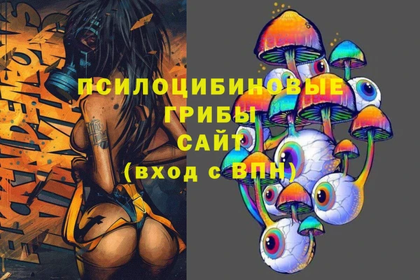 дмт Бугульма